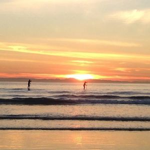 Meet your Posher, Craig